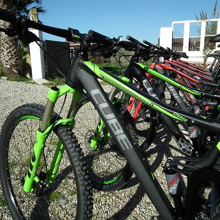 Da Silva Surf Four * Lourinha (Lisbon)